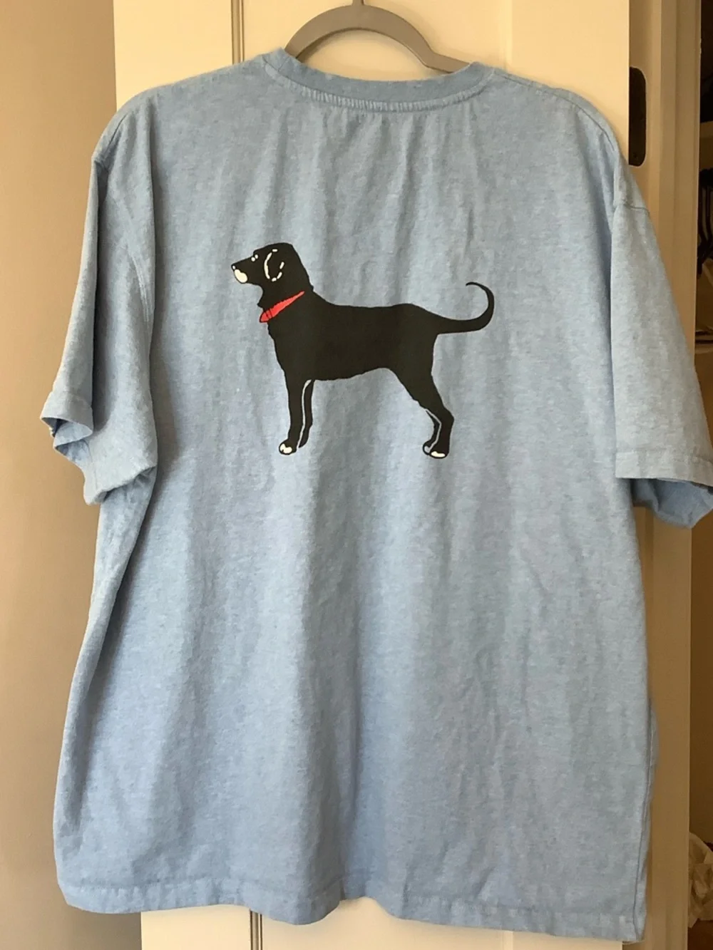 The Black Dog Sky Blue Logo Pocket T-Shirt - Picture 3 of 4
